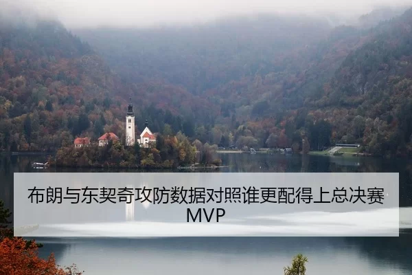 布朗与东契奇攻防数据对照谁更配得上总决赛MVP