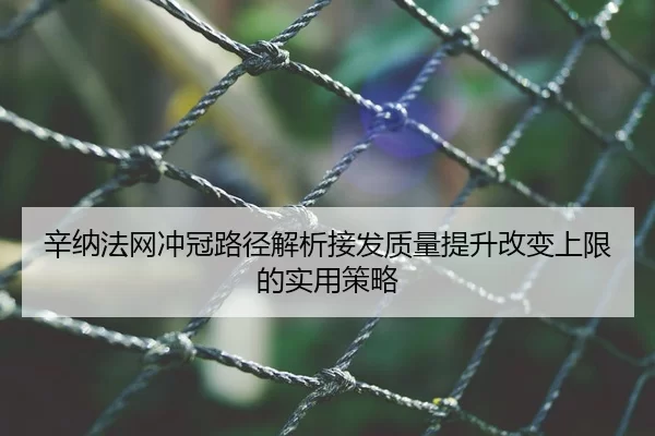 辛纳法网冲冠路径解析接发质量提升改变上限的实用策略