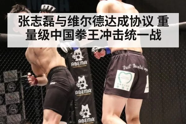 张志磊与维尔德达成协议 重量级中国拳王冲击统一战