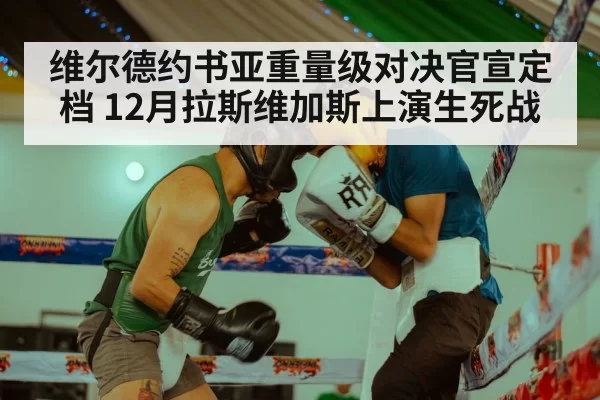 维尔德约书亚重量级对决官宣定档 12月拉斯维加斯上演生死战